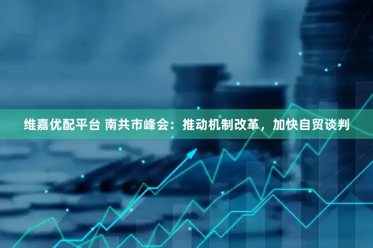 维嘉优配平台 南共市峰会：推动机制改革，加快自贸谈判