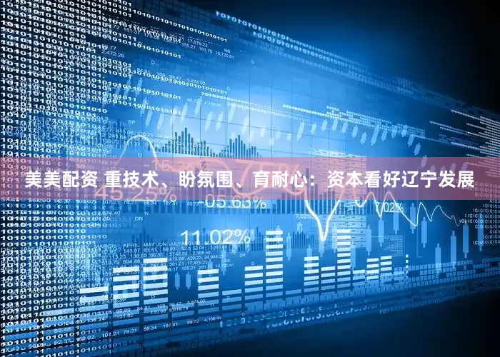 美美配资 重技术、盼氛围、育耐心：资本看好辽宁发展