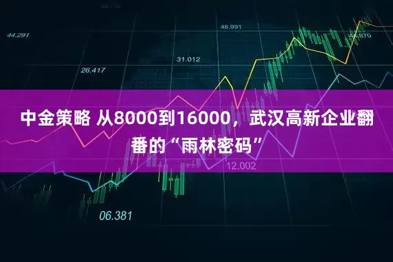 中金策略 从8000到16000，武汉高新企业翻番的“雨林密码”