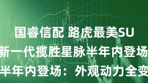 国睿信配 路虎最美SUV大换代！新一代揽胜星脉半年内登场：外观动力全变了